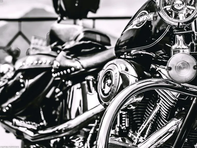 Harley-Davidson Iron 883 - Foto 3